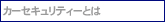 カーセキュリティーとは